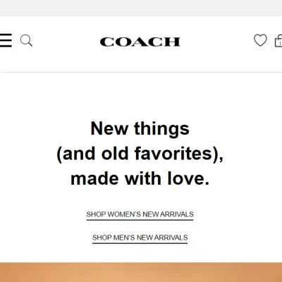 Cara Beli Tas Coach di Website